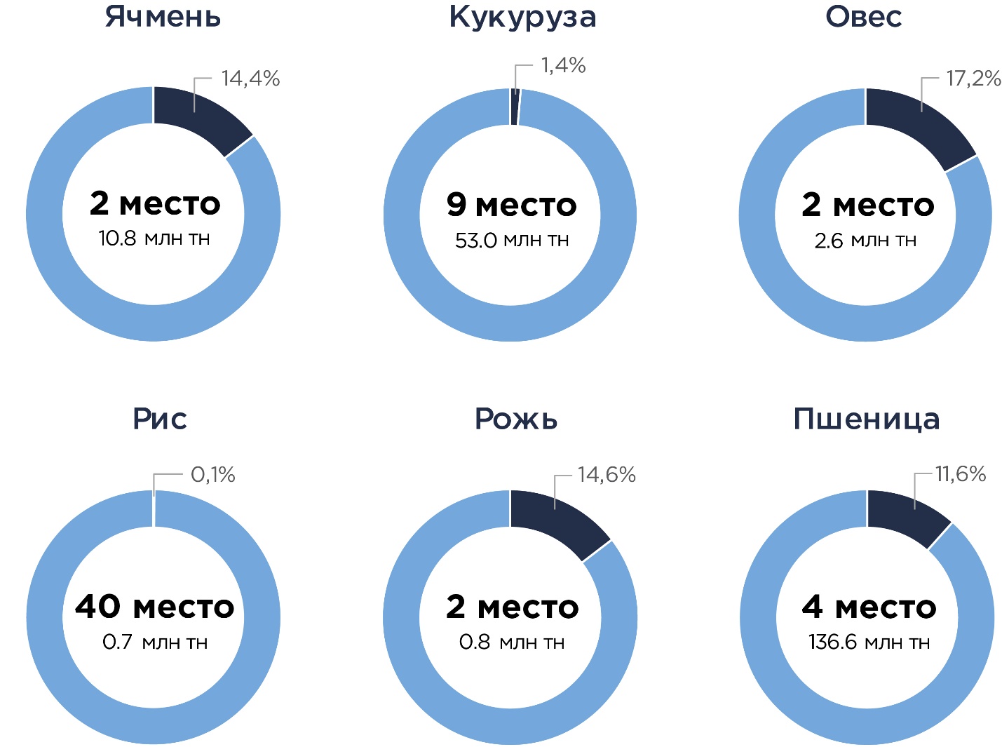 Рынок зерна в РФ: место России в мире, перспективы экспорта, крупнейшие  игроки – аналитические материалы «Деловой профиль»